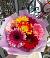 Букет цветов из: Герберы в Тазовском