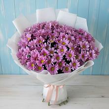 Букет цветов из:  Хризантемы в Тазовском