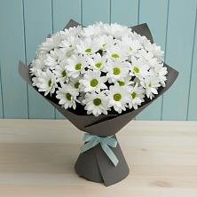 Букет цветов из:  Хризантемы в Тазовском