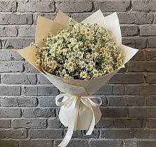 Букет цветов из:  Ромашки #REPLACE_PRED# Тазовском