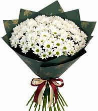 Букет цветов из:  Хризантемы #REPLACE_PRED# Тазовском