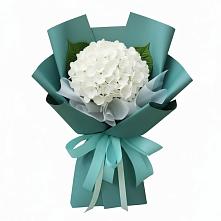 Букет цветов из:  Гортензия #REPLACE_PRED# Тазовском